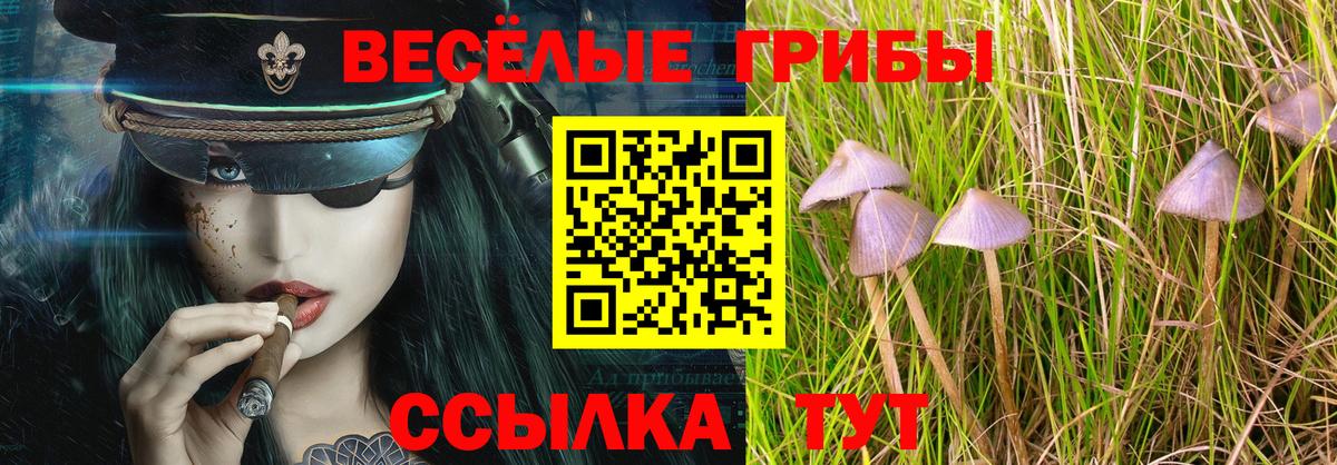Галлюциногенные грибы мицелий  Псилоцибиновые грибы прущие грибы  Вход с VPN  Новотроицк 